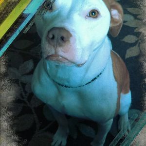 Meet your Posher, Mae